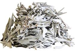  Fehér Zsálya Kiváló Minőség 100g (BSZ10)