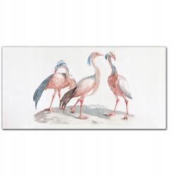 Coloray Fali vászonkép Állat madár 100x50 (010030010010000018208)