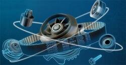 Dayco 94791 Ékszíj