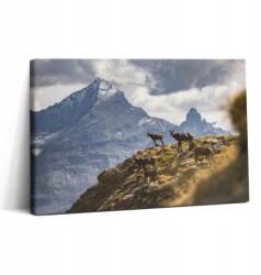 Wallfluent Canvas Fotó Vászon A dolgozószobába Grafika Kecskék és Aosta-völgy Olaszország 30x20 (010030010150000075414)