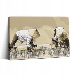 Wallfluent Vászonkép Canvas Látványos Edzőterem Két Nő Rizs Gyűjtő Ázsiában 30x20 (010030010150000074712)