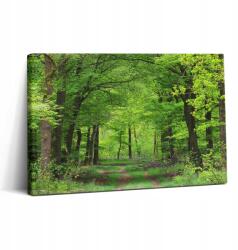 Wallfluent Vászonkép Canvas Stílusos Ajándék Hálószobába Erdei út a fák alatt 30x20 cm (010030010150000007217)