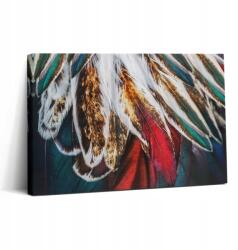 Wallfluent Vászonkép Canvas Vászon Kész Összeszerelésre A Vendégszobába Madártoll (010030010150000074914)