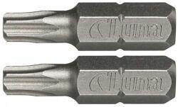 Luna Bit Torx lyukasztó TX10 2db Luna (200350106)