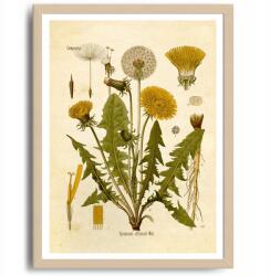  Poszter Pitypang Tej Dekoráció Növény Virág A3 (Plakat na ścianę)