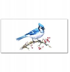 Coloray Vászonkép keretben Gyümölcsök állat madár 100x50 cm (010030010010000018901)