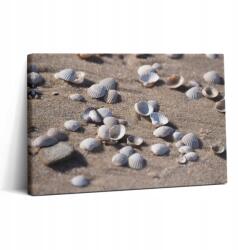 Wallfluent Fotó Vászonkép Canvas Fali Dekoráció Hálószoba Kagylók A Tengerparton 30x20 cm (010030010150000075517)