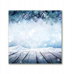 Tulup Canvas 50x50 nappaliba Tél Hó Karácsonyfa (ock-50x50-182910163)