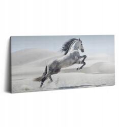 Wallfluent Canvas Fotó Edzőterem Vászon Fa Kerettel Galoppozó Fehér Ló (010030010010000075342)