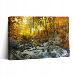 Wallfluent Fotó Falikép Vászon Könnyű Összeszerelés Nappaliba Őszi erdő 30x20 cm (010030010150000074955)