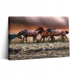 Wallfluent Fotó-Vászonkép Canvas Étkezőbe Klasszikus Száguldó A Vízben Lovak 30x20 (010030010150000276845)