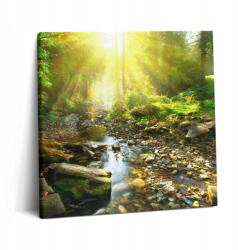Wallfluent Vászonkép Canvas Gyönyörű Konyha Erdei patak a nap sugaraiban (010030010270000276790)