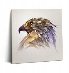 Wallfluent Vászonkép Előszobába Tartós Fali Madár Királyi Ragadozó (010030010270000048709)