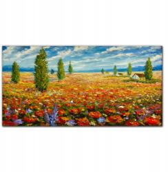 Coloray Vászonkép keretben Mező virágok 100x50 cm (010030010010000017018)