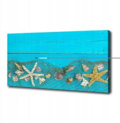 PazzoWalls Vászonkép Tengeri csillagok és kagylók 100x50cm (010030010010000007761)