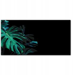 Coloray Vászonkép Dzsungel botanika levél 100x50 cm (010030010010000016963)