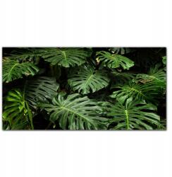 Coloray Fotó-vászon keretes vászonkép Növények levelek 100x50 cm (010030010010000017090)