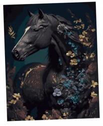 Twoje Hobby Festés Számok Szerint Fekete Vászon Fekete Ló