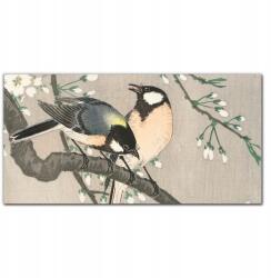 Coloray Vászonkép Természet állatok madarak 100x50 cm (010030010010000017837)