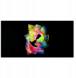 Coloray Vászon keretes faliképŐ és ő 100x50 cm (010030010010000016788)