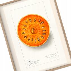  Vintage konyhai poszter Ízesített Ragasztók A3