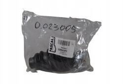 Pascal Renault Féltengely Gumiharang