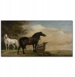Coloray Vászonkép Tájkép felhők ég lovak 100x50 (010030010010000018844)
