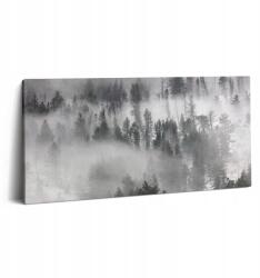 Wallfluent Canvas Vászonkép Otthonra Ökológiai Tájkép Ködös erdő 100x50 cm (010030010010000276850)