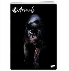 Elisa füzet A4/60k. kockás Animals (EL-M12-060-KA4)