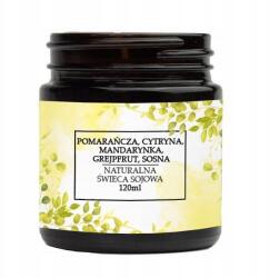 VitaFarm Természetes szójagyertya citrus és fenyő (4446)