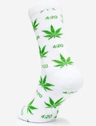 Hosszú Zokni Férfi Zokni 4: 20 Levelek Pamut Zokni Fehér (Skarpety skiety)