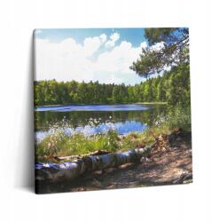 Wallfluent Vászonkép Canvas Az Irodába Szerelésre Kész Kilátás A Tóra Az Erdőben (010030010270000001736)