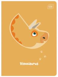 Interdruk Füzet A5 16k 3 vonalas színes Trends Boys 326713 (5902277276018)