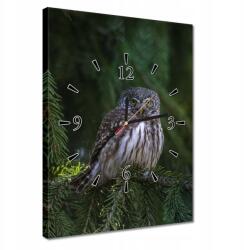ZeSmakiem Órák 30x40 Bagoly madár (H10300Z_Z1D_30x40cm AZ)