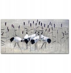 Coloray Vászonkép Állatok Madarak nád 100x50 cm (010030010010000017484)