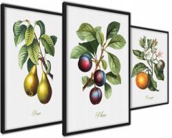  Konyha dekoráció Poszter Gyümölcs triptichon Vintage (Plakat Dekoracja do Kuchni Vintage)