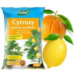 Westland Föld CITRUS-citrom táptalaj Seramis 4L (cytryny mandarynki pomarańczy)