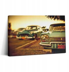 Wallfluent Prémium fotótapéta a konyhába Régi autók Autógyűjtemény 30x20 cm (010030010150000075311)