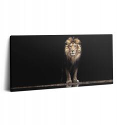 Wallfluent Canvas Fotó Művészi Vászon Előszoba Magányos Állat Vad Oroszlán (010030010010000005624)