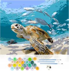  Festmény számok szerint teknős 40x50 Y103 (Y103)