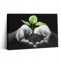 Wallfluent Vászonkép Szoba Ajándék Ötlet Növény A Kézben 30x20 (010030010150000075015)