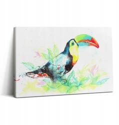 Wallfluent Vászonkép Canvas Vászon Kész Szerelés Tukán Nappali Fű Akvarell (010030010150000074784)