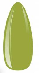 Ados art de lautrec világos zöld fényes körömlakk színes 458