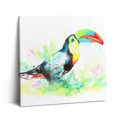 Wallfluent Canvas Fotó Vászon Nappaliba Könnyű Összeszerelés Tukán Fűben Akvarell 60x60 (010030010270000074784)