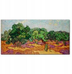 Coloray Vászonkép Liget kék ég Van Gogh 100x50 (010030010010000018284)