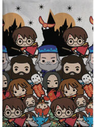 Aymax Harry Potter polár takaró 100x140cm AYM989539 (AYM989539)