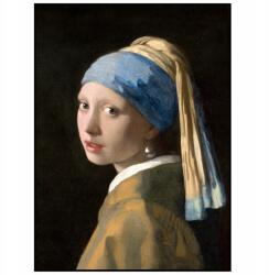  Poszter 50x70 Lány gyöngyfülbevalóval a nappaliba (plakat 50x70 Znani malarze 6)