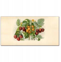 Coloray Fali vászonkép Gyümölcsök bogyók 100x50 (010030010010000018077)