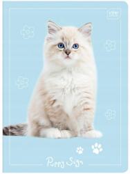 Interdruk Kockás Füzet A5 16 Lapos Interdruk Kockás 1 2 3. Osztályos Lányoknak (ZE16KF#)