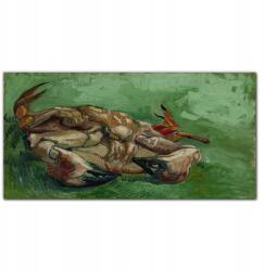 Coloray Rák on back Van Gogh vászonkép 100x50 (010030010010000019025)